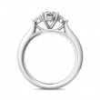 FlyerFit® Platinum Three Stone Engagement Ring